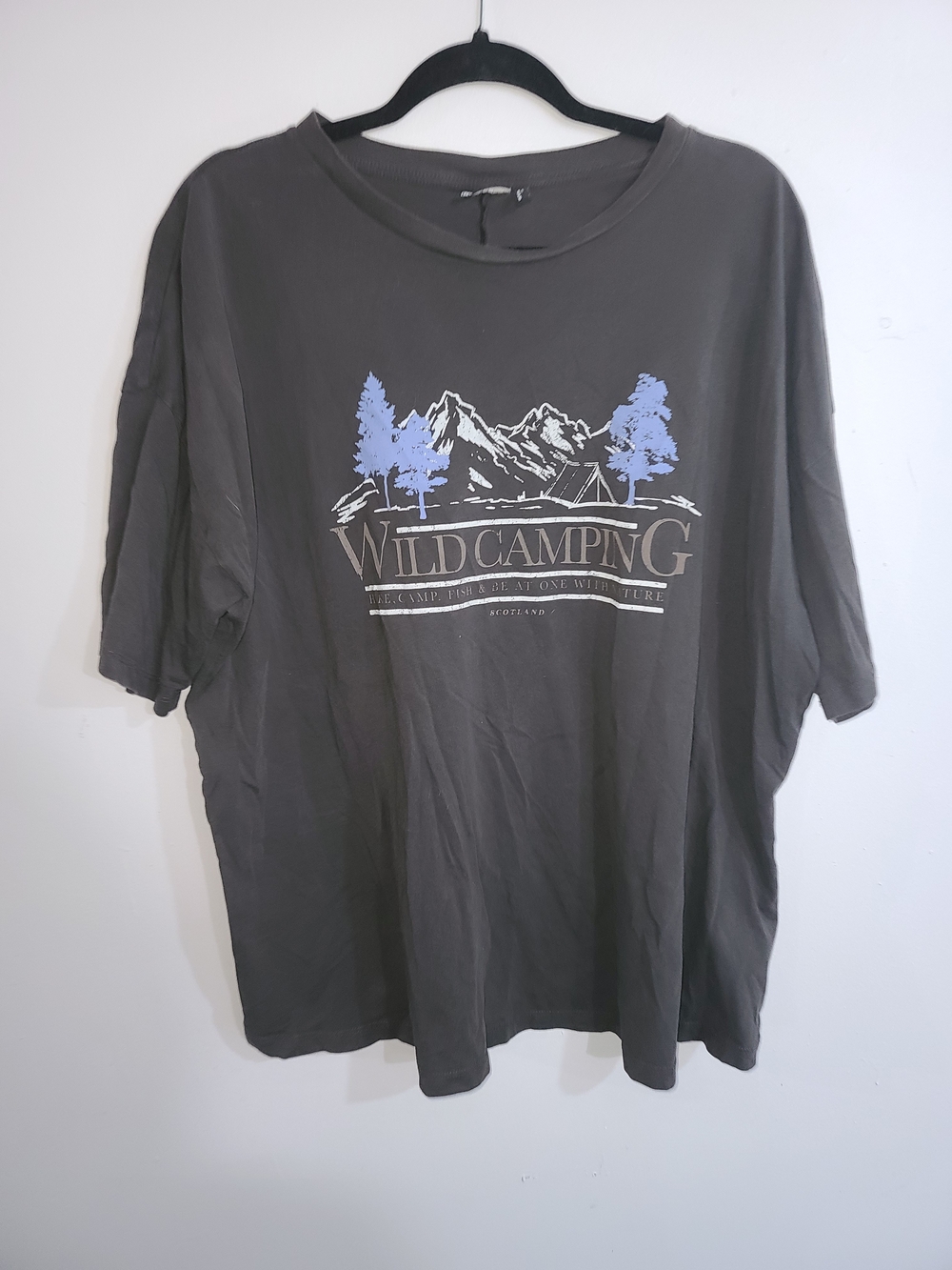 ASOS Wild Camping Graphic Tee - Gray with Light Blue Detail